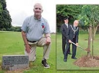 Legion memorial tree is destroyed