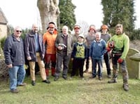 Ancient Newent beech is felled