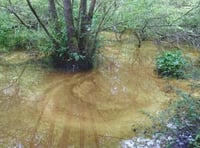 Oil spill in Forest brook