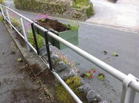 Vandals target newly-planted flower troughs