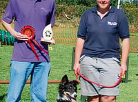 Holsworthy entries at dog agility class