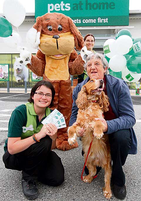 Launceston pet store sets tails wagging thepost