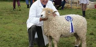 Launceston show president looks back on the success of event 