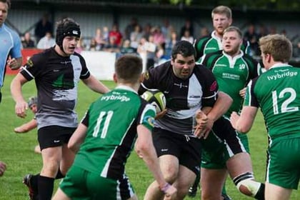 Poor second-half display costs the Cornish All Blacks at Newton Abbot