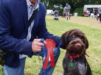 Dog show brings the fun factor!