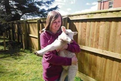 Looking after lambs ‘helps to build the children’s confidence’
