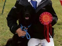 Showers didn't deter entries to this year's dog show!