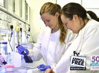 Plans to mark World Animal Free Research Day