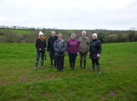 A winter walk in Chilsworthy