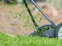 Tips for successful first cut of the year for lawns