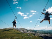 Zip line proposal in Tavi woods to benefit tourism