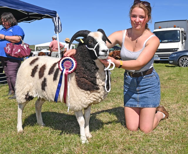 Camelford Show cancelled due to weather forecast