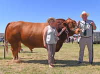 Treguddick Ephraim II brings home the win at Camelford Show 