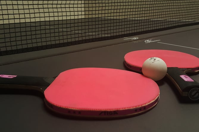 Table tennis bats