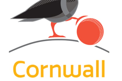 Cornwall Cricket League Preview - Saturday, July 8