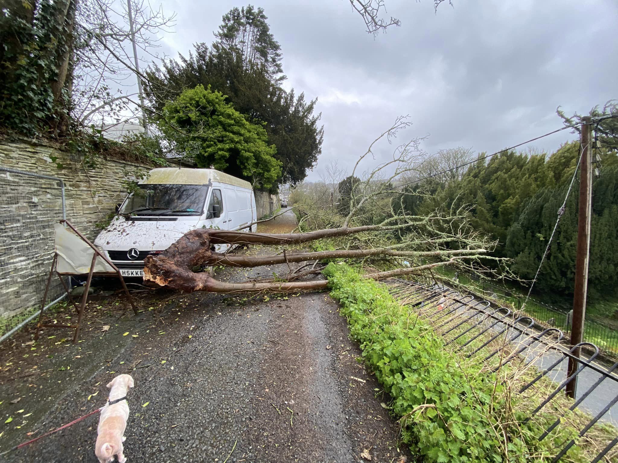 The Aftermath Of Storm Noa In Launceston Thepost Uk Com   341000773 760506865583540 7583021585875147624 N 