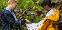 Will Cornwall's 2023 butterfly count beat last year's?