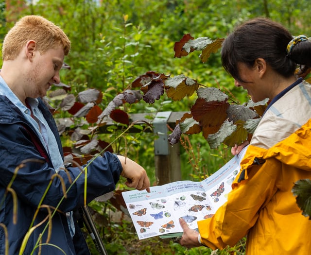 Will Cornwall's 2023 butterfly count beat last year's?