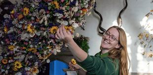 National Trust installs Christmas garland comprising 25,000 flowers