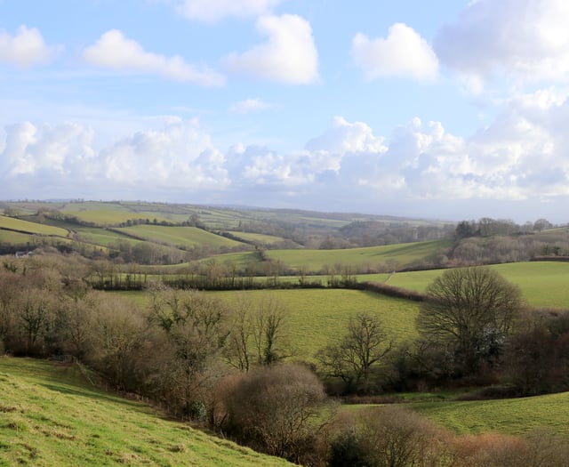 Hedgerow regulations to be brought into law to protect wildlife
