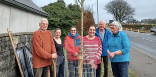 Five Cornish towns plant trees in time for Spring 