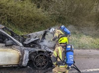 Car destroyed after fire 