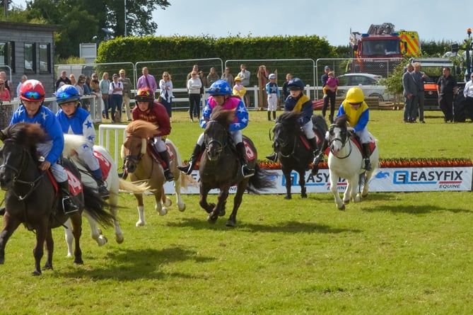 Royal Cornwall Show 3