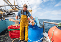 New initiative launched to increase British consumption of Cornish seafood