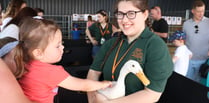 Meet Cornwall's 'Guardians of the Earth' this Open Farm Sunday