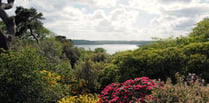 Private gardens across Cornwall and Devon are opening for charity