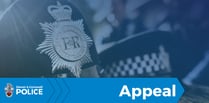 Police appeal for information following reports of Launceston stabbing