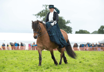 Captivating display promised at Woolsery & District Agricultural Show