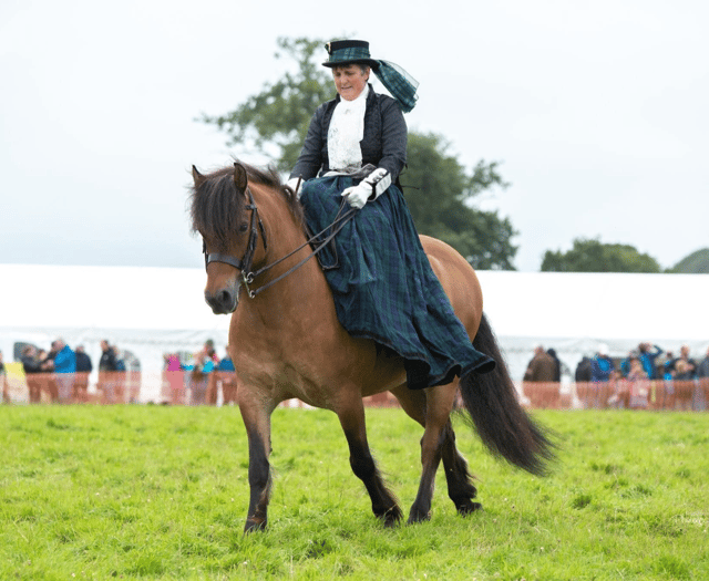 Captivating display promised at Woolsery & District Agricultural Show