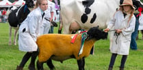 Have a go at this year's Okehampton Show