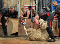 Shear brilliance as world record smashed