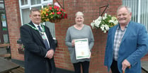 Holsworthy in Bloom winners announced