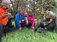 Cornwall Gleaning project seeks surplus apples 