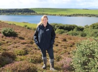 Former Bodmin Moor clay pit transformed into wildlife haven 