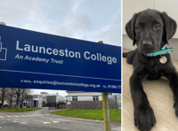 Launceston college introduce furry friend to support students 