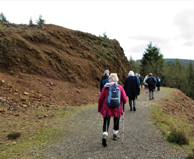 Explore the Tamar Valley this autumn with organised walks