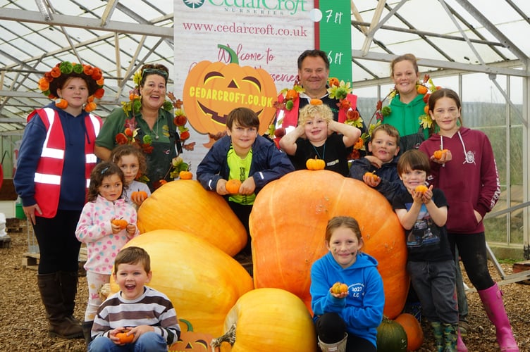 It's Pumpkin time at the Cedar Croft Nurseries at St Tudy as children and teachers of the Woodland Spirit Forestry School come along to see the giant pumpkins                           