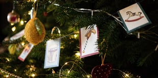 Singing and sparkle at Christmas Tree Festival 