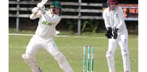 Luckett sign Callington duo as Robinson also departs Moores Park