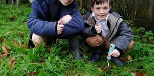 School pupils described as 'inspiring' after success of Eco Club